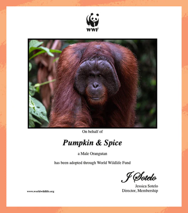 certificate img