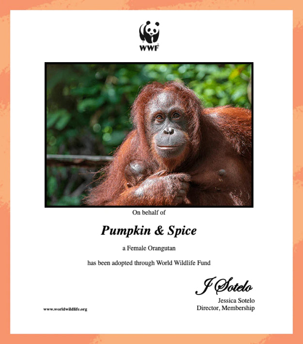 certificate img