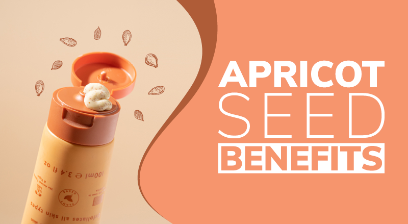 Apricot Seed Benefits